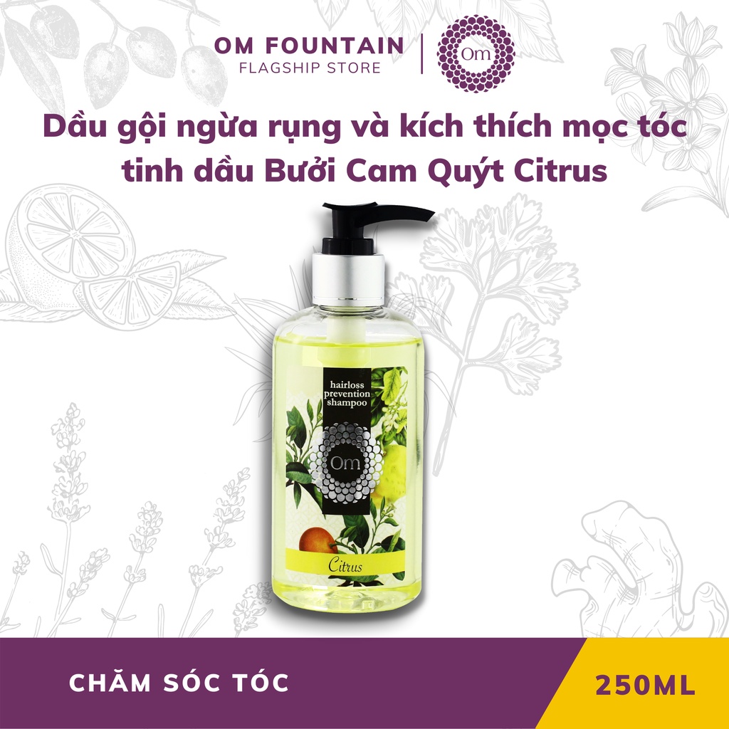 Dầu gội ngừa rụng và kích thích mọc tóc Tinh dầu Bưởi Cam Quýt Citrus 250ml - Om Fountain