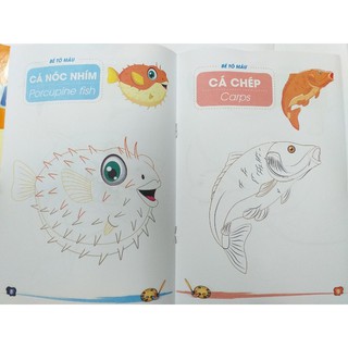 Tô Màu Cho Bé
