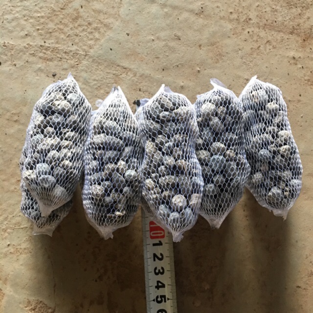 10 túi Phân dê đóng túi lưới 10cm