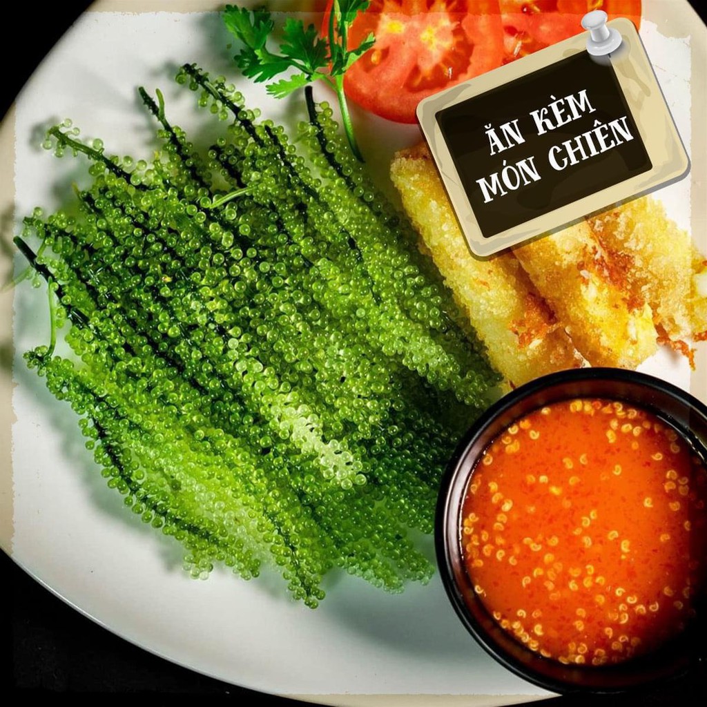 Rong nho tách nước Khánh Hòa Công nghệ tách nước từ rong nho tươi tiêu chuẩn Nhật Bản SÀI GÒN ĐẶC SẢN