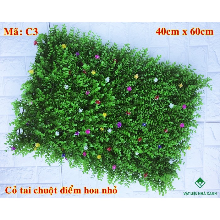 Cỏ tai chuột điểm hoa C3 giá rẻ