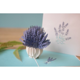 Thiệp 3D hoa lavender