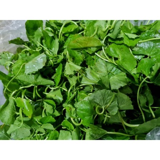 Rau má vườn miền tây - 200g