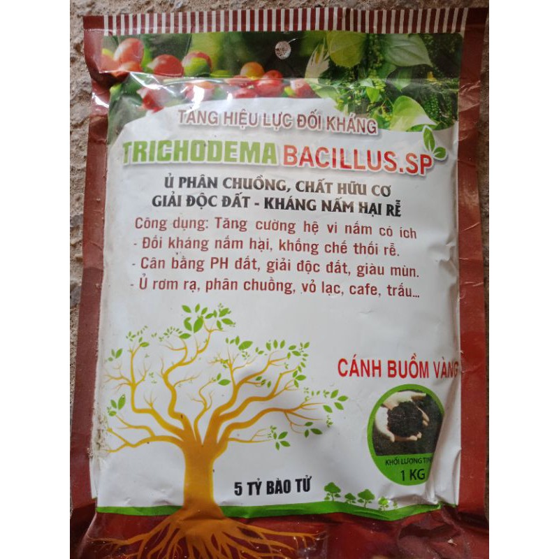 NẤM TRI TRÔ Ủ PHÂN,CHẤU
