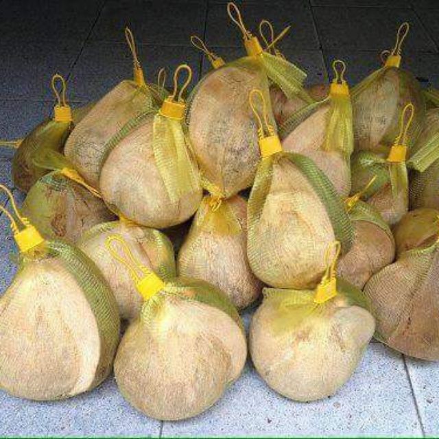 Dừa sáp đặc sản Trà Vinh