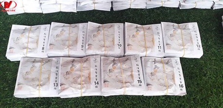 Dây đàn cổ tranh trung quốc 21 dây