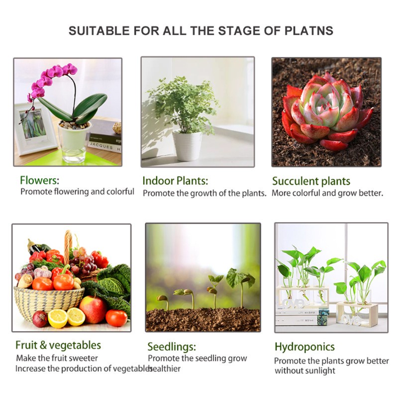 100W Ánh sáng phát triển cây phát triển nhanh Ánh sáng phát triển nhanh đầy đủ LED Quang phổ phát triển Ánh sáng 220V