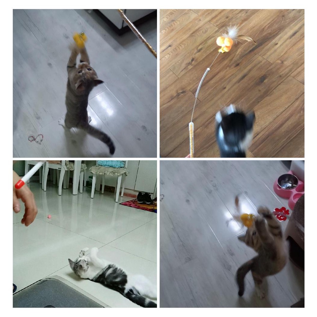 Đồ chơi gậy hạt gắn lông vũ có chuông vui nhộn cho mèo cưng