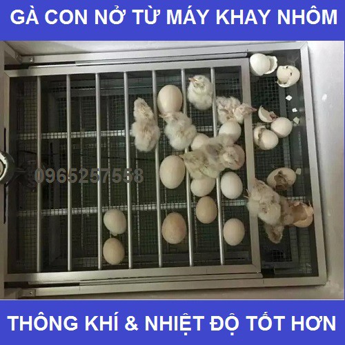 2 Khay đảo trứng bằng nhôm tự động chuyên dùng cho máy ấp trứng (gà 54 quả),vịt, cút, trĩ, bồ câu...) Lắp máy 108 trứng