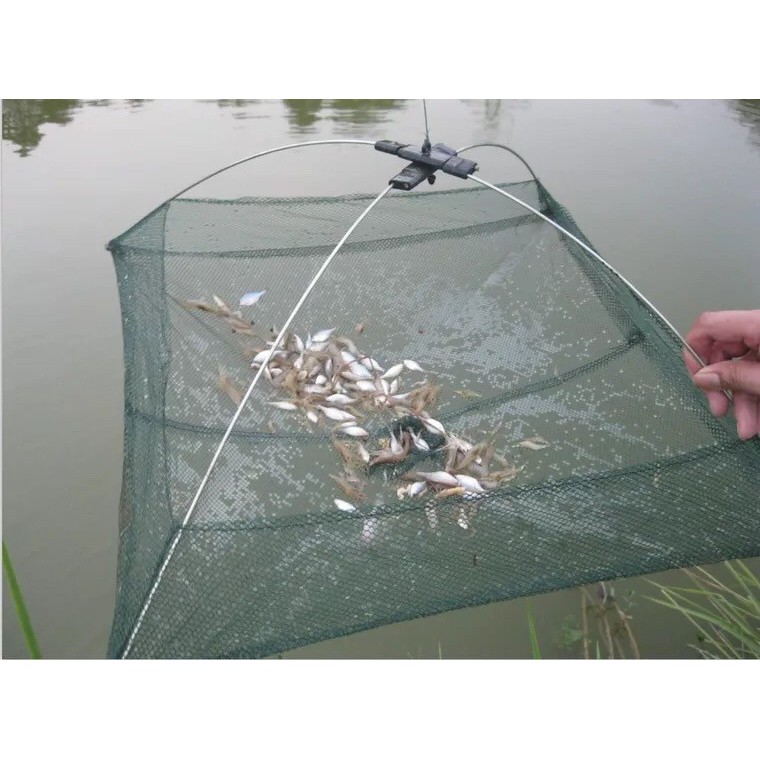 VÓ TÔM - Bắt TÔM - TÉP