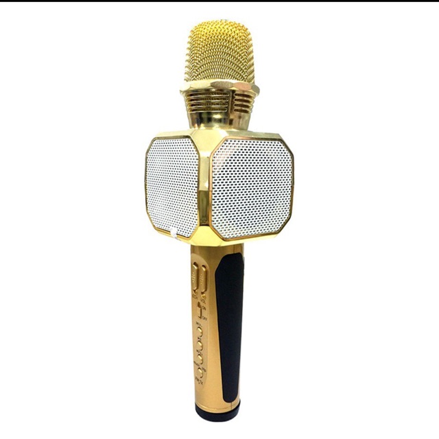 Mic hát Karaok SD 10 (Chính hãng),Loại XỊN