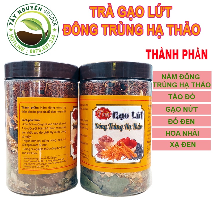 Trà Gạo Lứt Đông Trùng Hạ Thảo - Trà gạo lứt đậu đen đông trùng hạ thảo ( Hộp 500G) Nông sản sạch Tây Nguyên