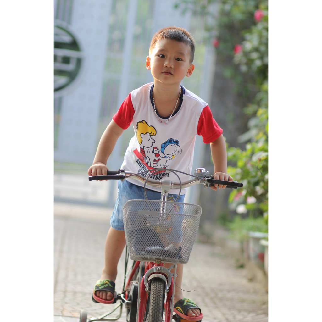 Áo thun bé trai quần áo bé trai sành điệu Snoopy chính hãng chất cotton siêu mềm mịn - Misolkids by huong274