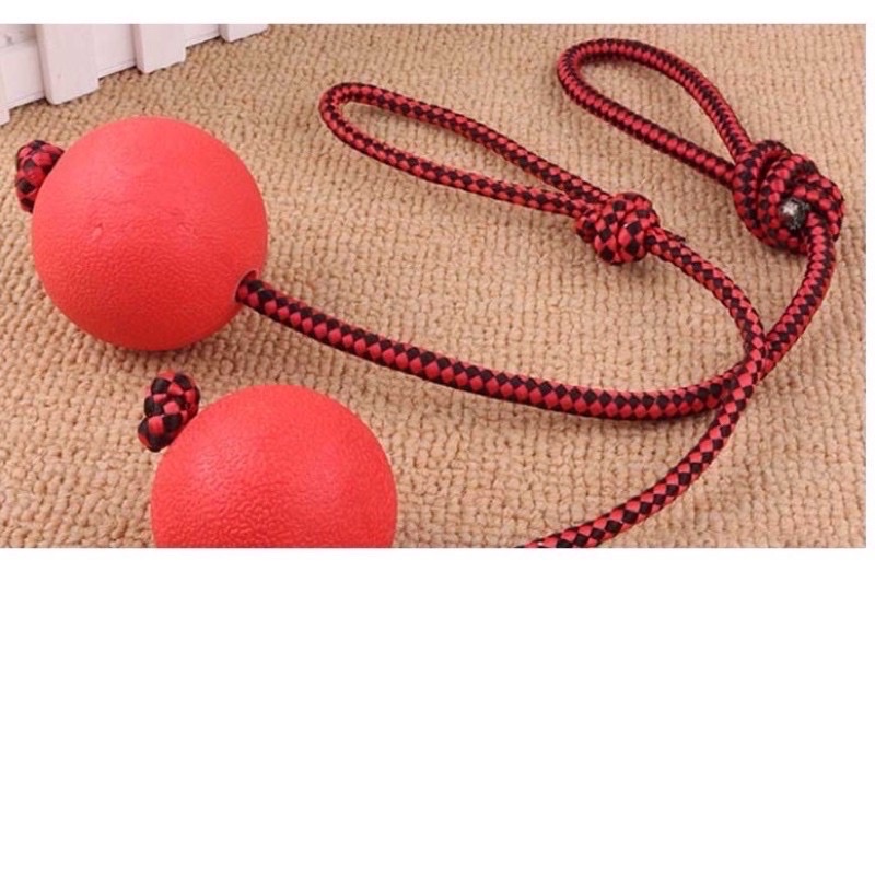 Bóng huấn luyện chó chất liệu cao su bền dẻo