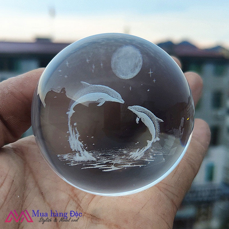 Bộ Quà Tặng Quả Cầu Pha Lê 3D larser LED cá heo CH03