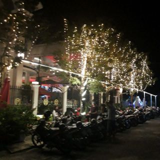 [FREESHIP] Dây đèn led bức màn 3mx3m 16 sợi.