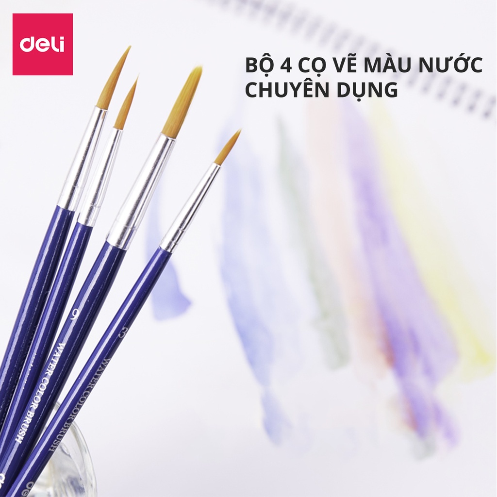 Bộ cọ vẽ chuyên nghiệp Deli - dùng cho màu nước/bột/sơn acrylic -Set 4/6 cây