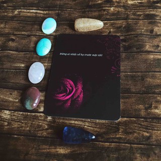 (Thổ House Tarot) Bài Morse Code Love Oracle