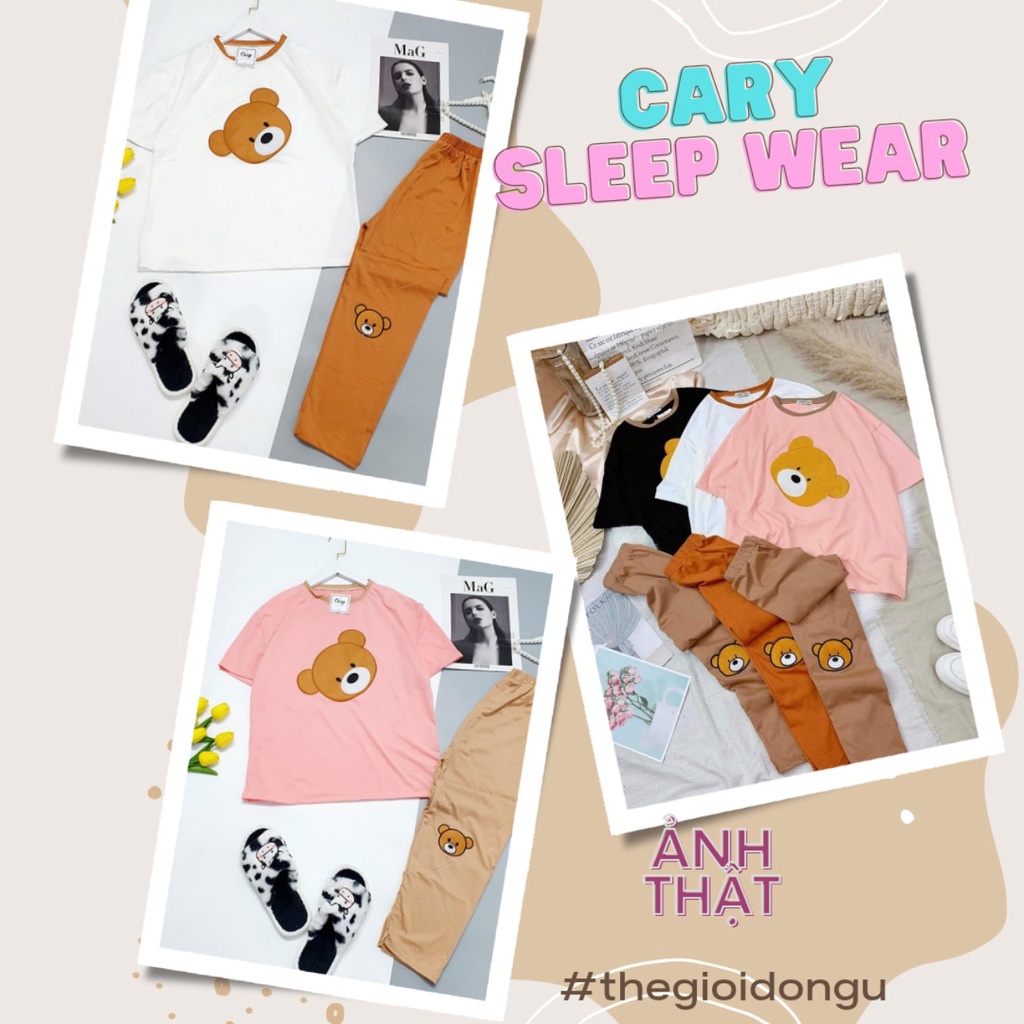 Set bộ thun CARY,bộ áo thun cotton thêu gấu form rộng cao cấp hot trend