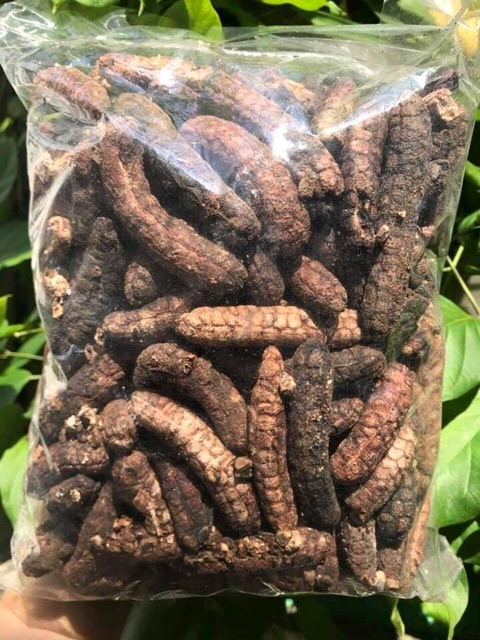 Chuối hột sấy khô đặc sản vùng cao túi 1kg