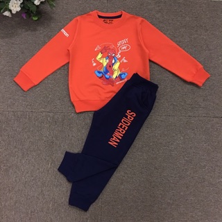 Combo sỉ bộ nỉ nhện