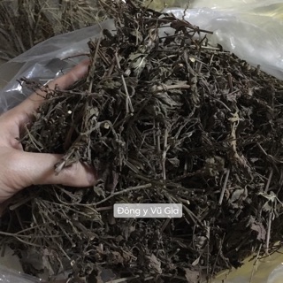 Cây râu mèo loại 1 trị sỏi tiêu viêm 1kg