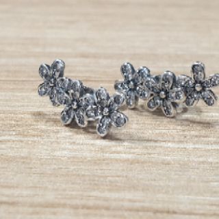 Hoa tai bạc s925 hoa 5 cánh đá