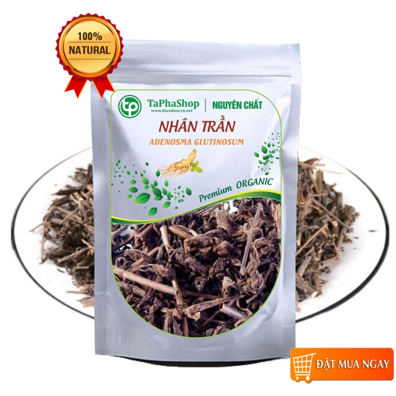 Cây nhân trần khô