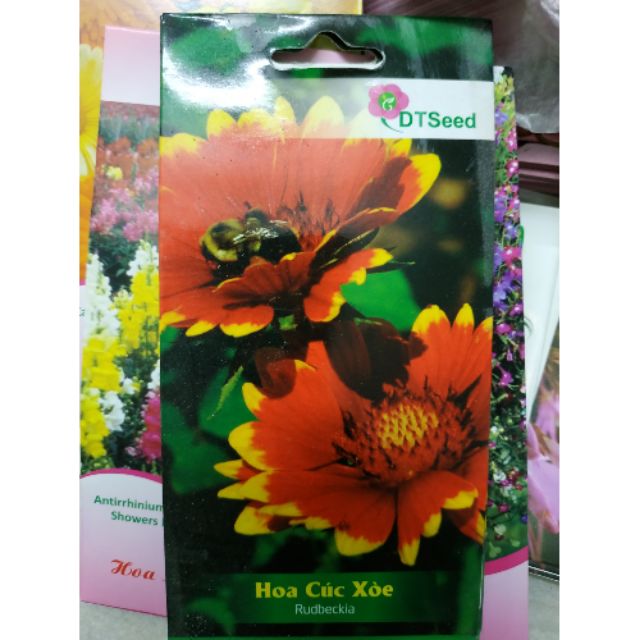 Hạt giống Hoa CÚC XOÈ ( CÚC CÔNG CHÚA) - Rau củ quả trồng tại vườn, sân thượng, nông trang, ban công