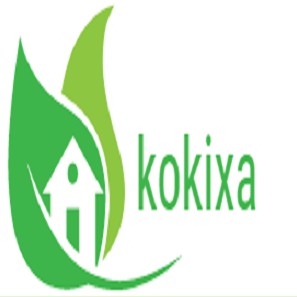 KOKIXA-TMDT VIỆT NAM