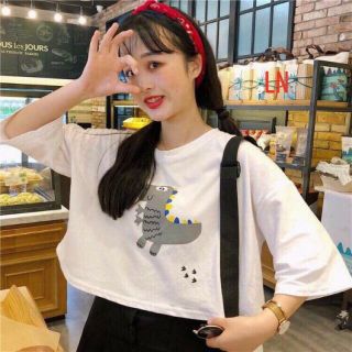 Áo crt khủng long_LNa