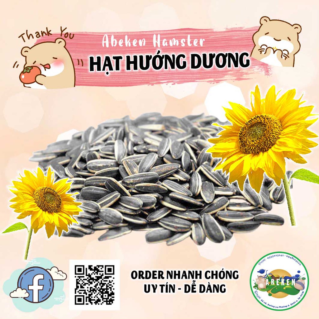 Hạt hướng dương bổ sung dinh dưỡng cho Hamster