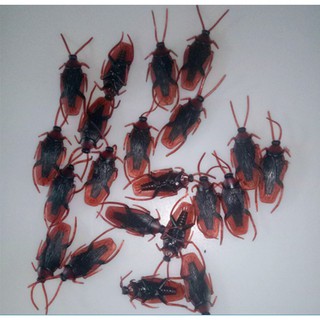 - Set 5 đồ chơi gián nhựa - Bán buôn siêu rẻ