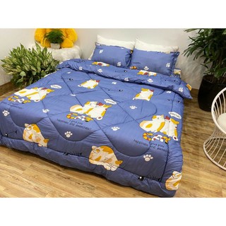 Trọn bộ 5 món chăn phao poly cotton [ mẫu mèo cát xanh ]