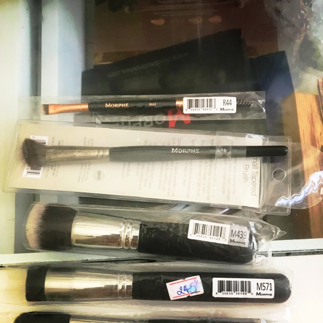 Cọ má Morphe