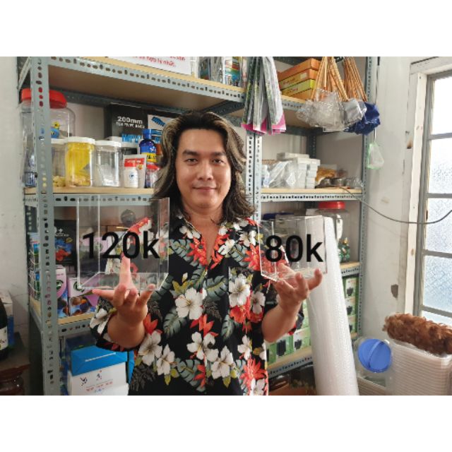 Hồ show cá siêu trong Acrylic