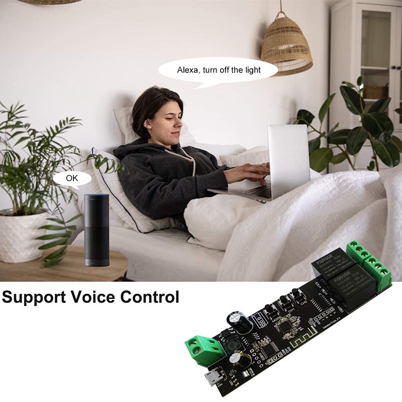 Mô Đun Rơ Le WiFi Thông Minh 2 Kênh Chuyên Dụng