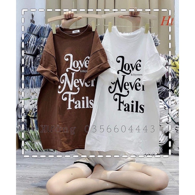 Áo phông love never HT11