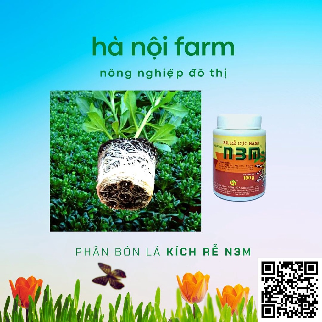N3M kích ra rễ dạng bột,Kích thích ra rễ cực mạnh- kích thích ra rễ, nảy mầm…- hũ100g