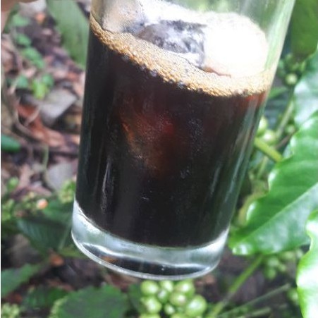 Cà phê Robusta honey PHA MÁY nguyên chất - cafe Espresso