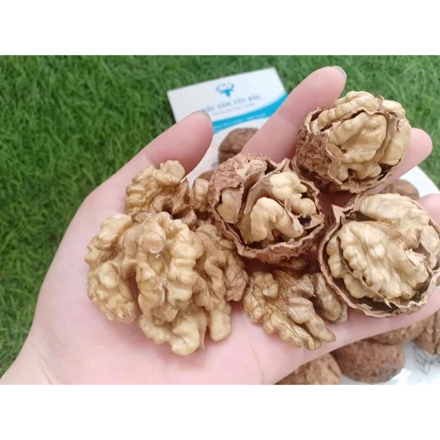 🌿 Óc Chó Nếp Tây bắc 🌿