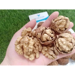 🌿 Óc Chó Nếp Tây bắc 🌿