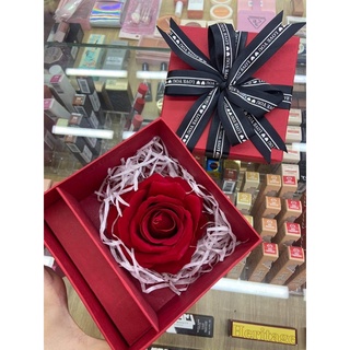 Hộp Quà Nơ 🍒