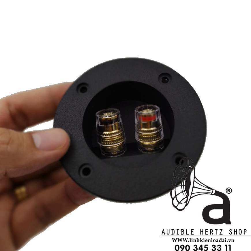 Trạm loa tròn, máng loa, hậu loa ráp thùng