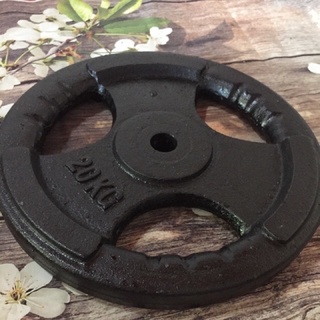 Bộ 2 bánh tạ 20kg  phi 50