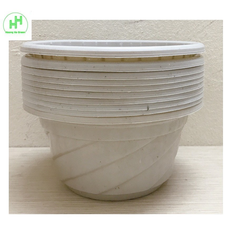 10 Chậu Nhựa Trồng Cây Hoa, Cây Cảnh C180 CN - chậu nhựa Mini C180 CN