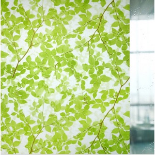 GIẤY DÁN KÍNH LÁ XANH MỜ PHẢN QUANG CẢN QUANG CHỐNG NẮNG LÀM MỜ DECAL DÁN KÍNH SẴN KEO BÓC DÁN