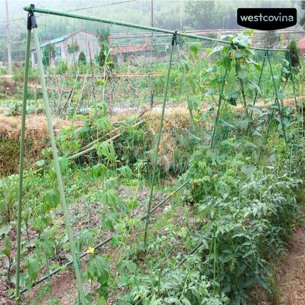 Lưới cho cây dây leo tiện dụng và bền