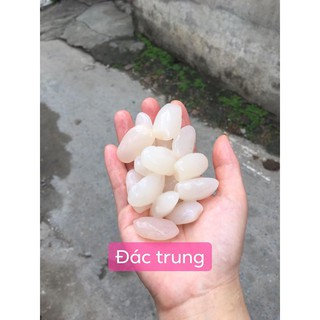 Hạt Đác Tươi - Đặc Sản Nha Trang - 1kg
