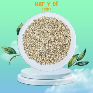 Hạt ý dĩ nếp loại 1 hạt to mẩy nấu cháo, pha trà